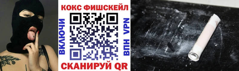COCAIN Fish Scale  Купить  Высоковск 