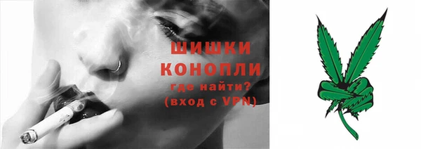 трава Верея