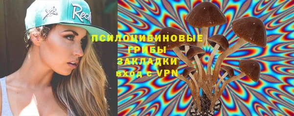 трава Верея