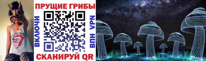 Купить закладки  Высоковск  Псилоцибиновые грибы GOLDEN TEACHER 